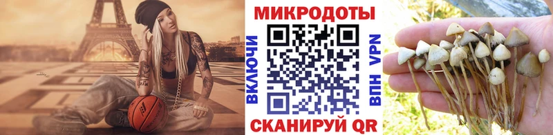 мега ССЫЛКА Городище Галлюциногенные грибы прущие грибы